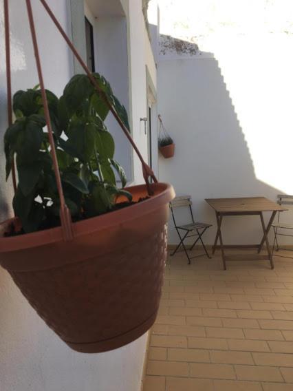 Casa Da Madrinha Villa Vila do Bispo Exteriör bild